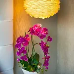 Drim Apartman