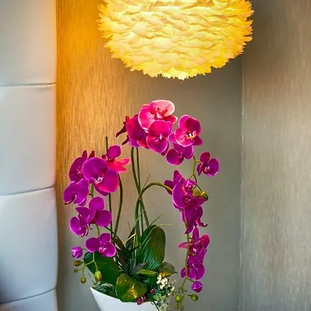 Drim Apartment